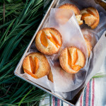 Little Apricot Cakes